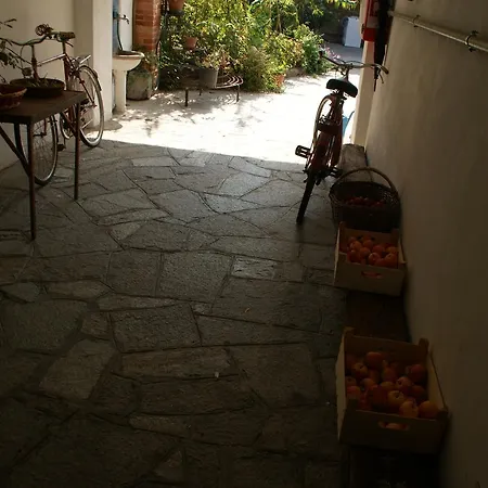 Oda ve Kahvaltı Maddalena