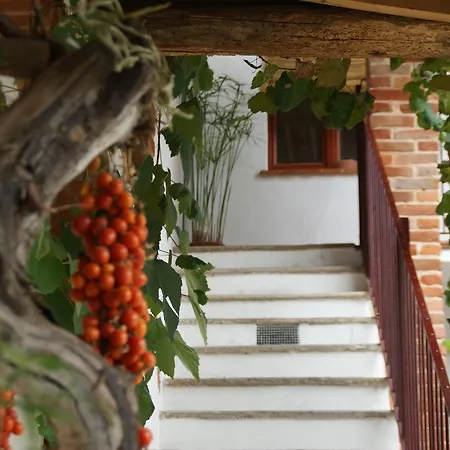 Maddalena Oda ve Kahvaltı Bra